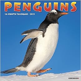 Penguins 2019 Wall Calendar, by Willow Creek Press