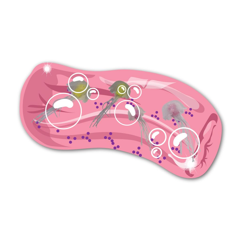 Wiggly Jiggly - Jellyfish from Deluxebase. Water Snake Fidget Toys for Stress & Anxiety Relief, Sensory Toy for Kids & Adults, Ideal for Autism and Party Favours.