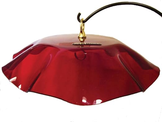 Amazon Com Birds Choice Red Weather Guard Wild Bird Dome