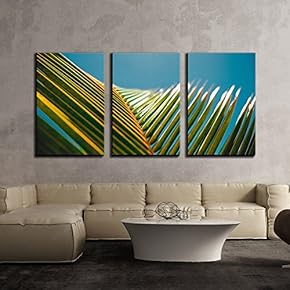 3 Piece Canvas Wall Art - Close Up of Palm Leaves - Modern Home Art Stretched and Framed Ready to Hang - 16"x24"x3 Panels