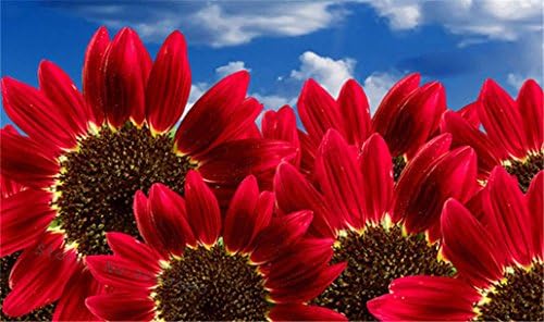 DIY Crystal Diamond Flower Painting Diamonds Cross Stitch Sets Unfinished Decoration Diamond Embroidered Sunflower
