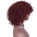 AISI HAIR Synthetic Afro Curly Hair Wigs Full Red Wig Short Curly Wigs for Women Kinky Curly(red)