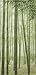 Cosmo Noren Japanese Doorway Curtain Bamboo Forest 33.5