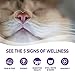 Wellness Healthy Indulgence Gravy Adult Wet Cat Food, Natural, Protein-Rich, Grain Free, 3 Ounce Pouch, 24 Pack, (Tuna & Mackerel)
