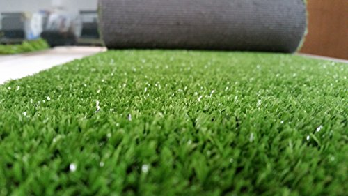 PZG Artificial Grass Rug w/ Drainage Holes & Rubber Backing | 2-Tone Realistic Synthetic Grass Mat | Extra-Heavy & Soft Pet Turf | Lead-Free Fake Grass for Dogs or Outdoor Decor | Size: 24' x 12'