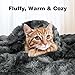 LANGRIA Luxury Super Soft Faux Fur Fleece Throw Blanket Cozy Warm Breathable Lightweight and Machine Washable Dyed Fabric for All Seasons – Decorative Throw for Couch Bed (60x80, Twin Size Black)