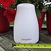 160ml Ultrasonic Aromatherapy Essential Oil Diffuser - Easy To Use - Cool Mist Aroma Humidifier - Safe For All Oils - 7 Color LEDS - Automatic Shut Off - 2 Mist Modes - Great For Men, Women & Kids!
