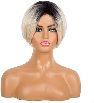 Amazon ウィッグ 女性フェイブウィッグヘアショートブラック混合フード黒と白グラデーションショートストレートヘアウィッグコスプレパーティー スポーツ アウトドア