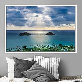signwin Framed Canvas Wall Art Coastal Freedom Aerial...