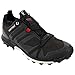 adidas outdoor Mens Terrex Agravic GTX Shoe
