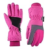Fazitrip 3M Thinsulate Women Warm Gloves, Windproof & Waterproof Gloves, Function as Ski Gloves, Biking Gloves, Running Gloves or Other Sporting Gloves at Winter
