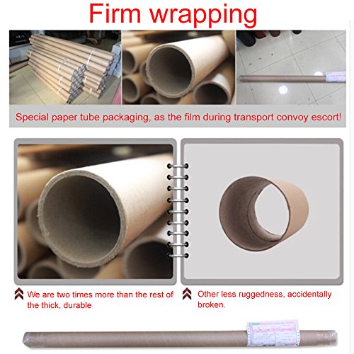 5 Aumo+mate+Transparent+Chameleon+LightsTint+Accessories