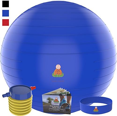 Exercise Ball Stability Fitness Balls | Best Professional Balance Anti-Burst Set – Yoga Large Thick Gym Ball With Pump & Accessories, Extra Pin For Valve, Elastic Loop & Hard Cover Workout Guide…