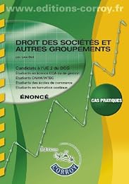 Droit des sociétés, autres groupements, droit pénal des groupements d'affaires