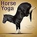 Horse Yoga 2018 Calendar