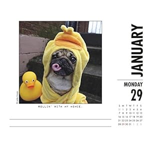 Doug the Pug 2018 Box Calendar