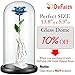 DEFAITH 24K Gold Dipped Real Rose Gifts, Best Wedding Anniversary Valentines Day Love Gift for Her Wife Girlfriend Spouse, Teal Blue with Stand