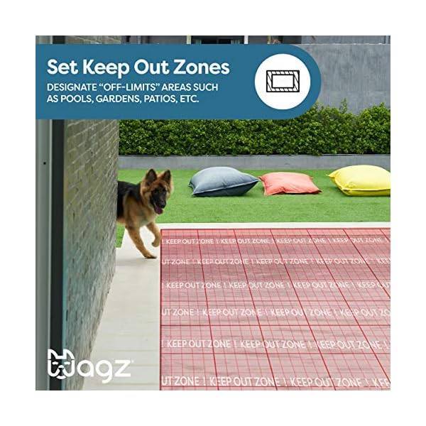 Geofence dog collar shock Clearance