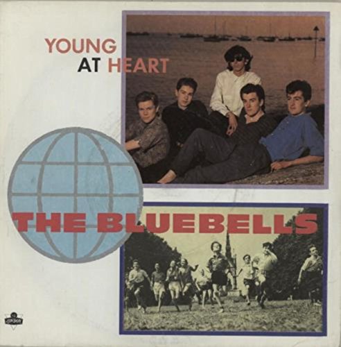 the Bluebells - Young at Heart - Zortam Music