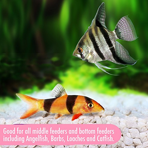 Aquarian Complete Cups Nutrition Aquarium Bottom Feeder Fish Food