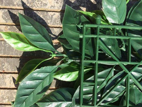 Artificial Hedge Plant Privacy Fence Screen Greenery Panels for Both Outdoor or Indoor, garden or backyard home decorations (20x20 inch artificalHedge-European Laurel, 1 PC Sample)