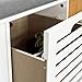 Haotian FSR23-K-W, White Storage Bench with 2 Drawers & Removable Seat Cushion, Shoe Cabinet Shoe Bench