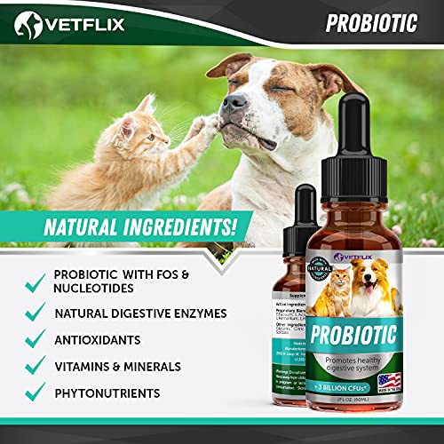 Premium Probiotics for Dogs & Cats Digestive Enzymes & Prebiotics