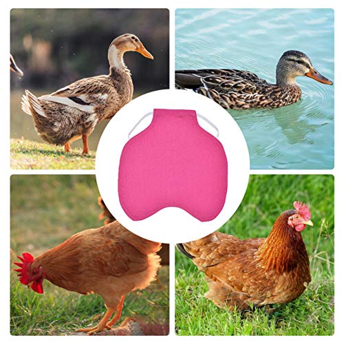 Sommer's Laden Haustier Schürze Chicken Saddle Hen Schürze Hühnersattel Geflügel Henne Sattel Schürze Federschutzhalter… – Bild 5