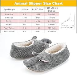 Cozylook Cute Animal Indoor Slippers for Women Kids