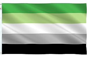 LGBTQIA ARomantic Orientation Aromanticism Gender Rainbow Banner with Brass Grommets-100% Super Polyester Material -Complete 