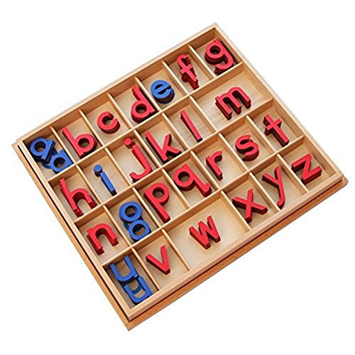 Montessori Small Wooden Movable Alphabet with Box (Red & Blue, 5mm thick)