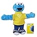 Playskool Sesame Street Cookie Monster Hugs Forever Friends Figure