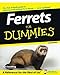 Ferrets For Dummies by Kim Schilling (2007-10-08) by 