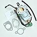 1UQ Manual Choke Carburetor Carb For Harbor Freight Predator 13HP 420CC 69671 68530 68525 8750W 8750 Watt Watts Generator