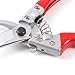 Dycarfell 50mm Stainless Steel Pruning Shears,Secateur,Pruning scissors - Best Pruning Tools,Pruning Snip,Tree Trimmer, Garden Shears（Gift Set）