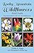 Rocky Mountain Wildflowers Field Guide