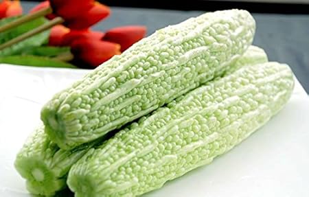 Amazon.com: Jardín vegetal orgánico de hojas de color verde ...