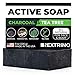 Activated Charcoal Tea Tree Soap with Peppermint (2-Pack of 4 oz Soap Bars), Vegan Bath Bars with Oils for Men/Women, Face & Body Skin Care Cleanser, Washes Away Odor - Made in the USA
