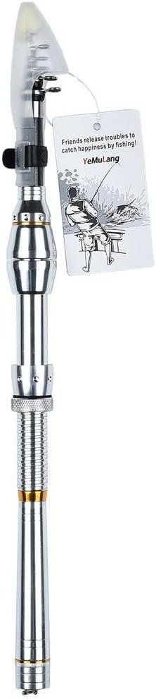 Fishing TY Telescopic Rod Retractable Pole Rod Saltwater Travel Spinning Rod Pole £¨ Silver £