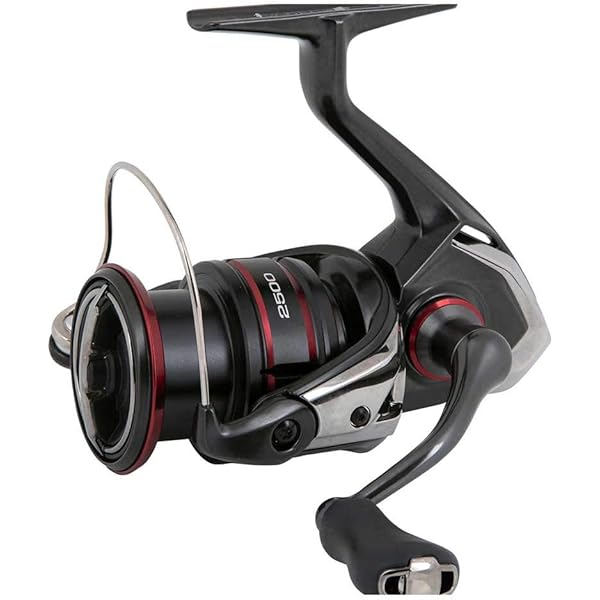 Amazon.com : Shimano 21 Complex XR C2000F4HG : Sports & Outdoors