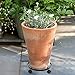 Metal Plant Caddy Heavy Duty Iron Plant Dolly on Round Rack Rustproof Sturdy Potted Plant Stand with Rolling Wheels Garden Plant Container Indoor Outdoor Planter Trolley Casters for Garden and Homethumb 1