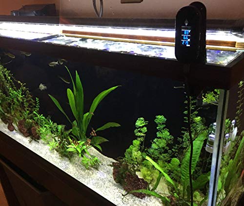 3 Atlantis+Aquatics+Fahrenheit+Thermometer+Dissolved