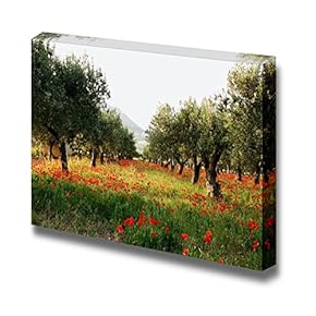 Canvas Prints Wall Art - Olive Trees on a Carpet of Poppies - 12" x 18"