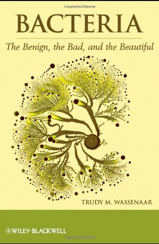 Bacteria: The Benign, The Bad, and The Beautiful