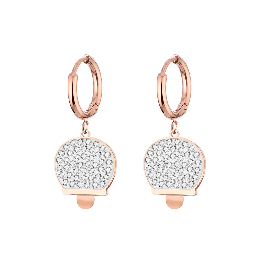 Hypoallergenic Stainless Steel Earrings for Women, Hoop Dangle Earrings Shining Crystal, Rose Gold Earrings Charm Jewelry Gift for Friends