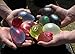 Tiny Balier Water Balloons 12 Pack 440 Balloons Easy Quick Fill for Splash Fun Kids and Adults Party Pool with in 60 Seconds k2