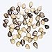 BrightTea® Job's Teardrop Beads Natural or African Zulu Grey Seeds pkg of 50pcs