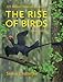 The Rise of Birds: 225 Million Years of Evolution