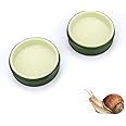 2 Pack Snail Food and Water Bowl for Land Snails Pet Snail Calcium Bowl Snail Feeder Dish Pet Land Snail Supplies