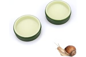 TINKARE 2 Pack Snail Food and Water Bowl for Land Snails Pet Snail Calcium Bowl Snail Feeder Dish Pet Land Snail Supplies